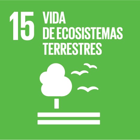 ODS15_Vida de ecosistemas terrestres
