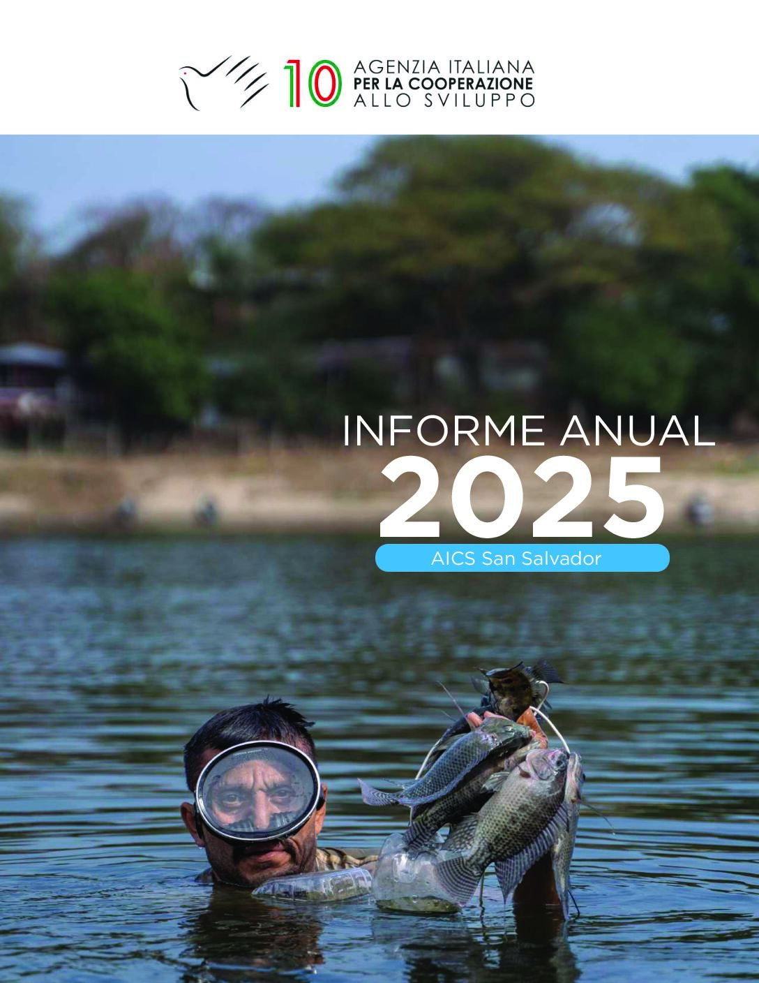Informe Anual 2025